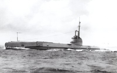 HMS Salmon